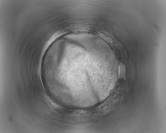 X0000112060195200908181205