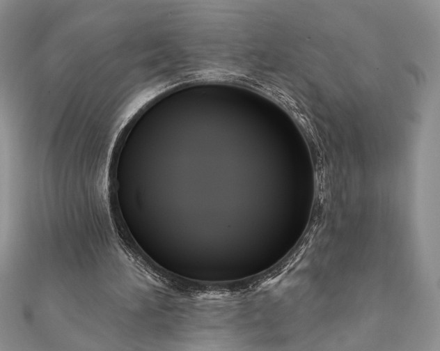 X0000112060196200908181205