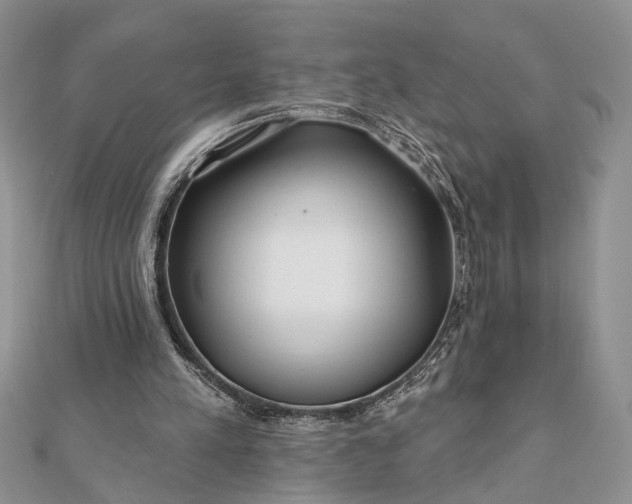 X0000112060197200908181205