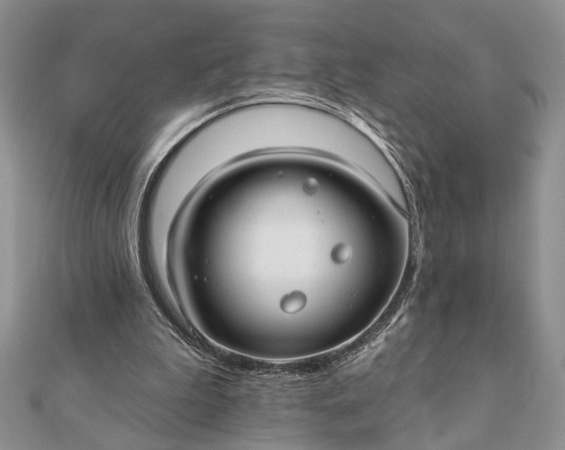 X0000112060199200908181205