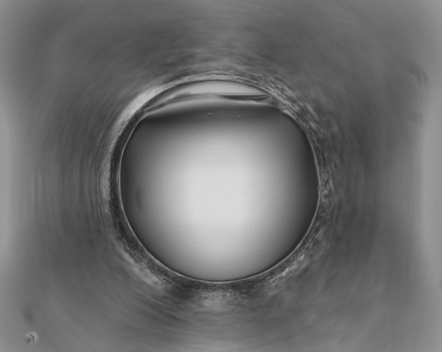 X0000112060200200908181205