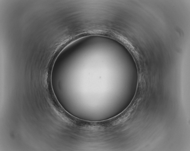 X0000112060201200908181205