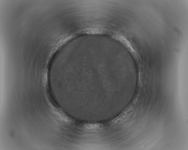 X0000112060202200908181205