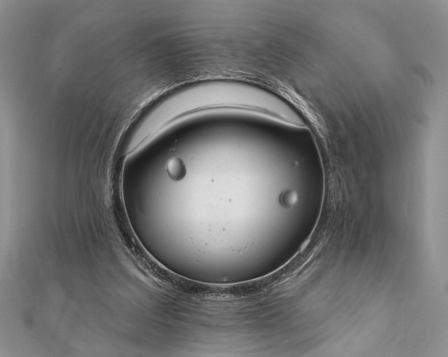 X0000112060203200908181205