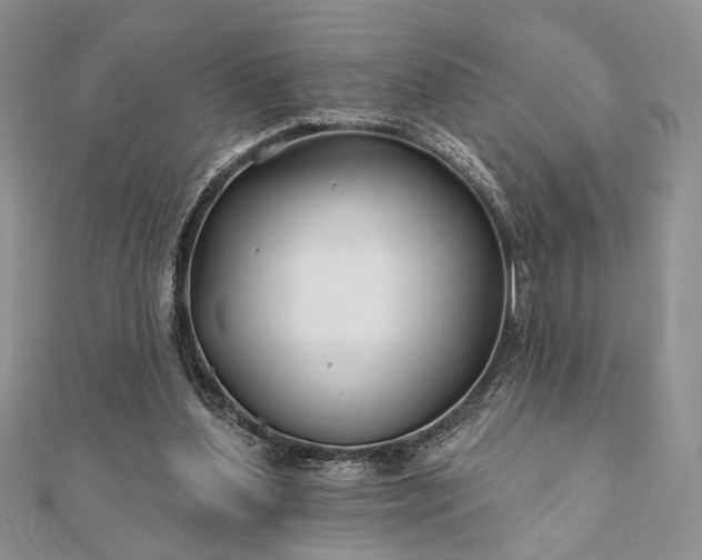 X0000112060204200908181205