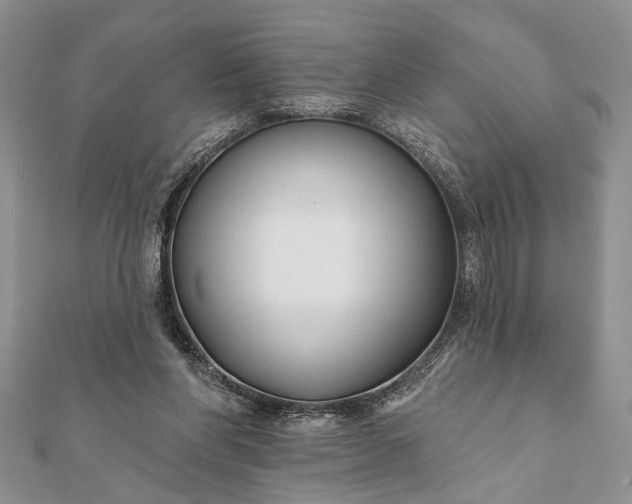 X0000112060206200908181205