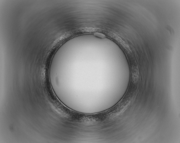 X0000112060207200908181205