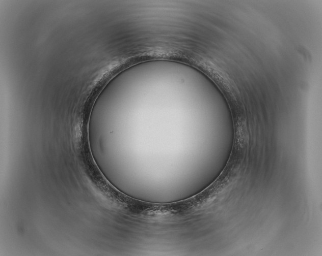 X0000112060208200908181205