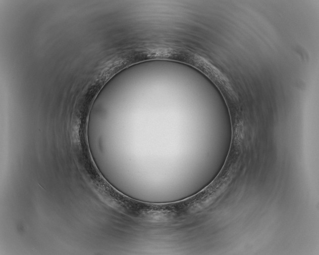 X0000112060209200908181205