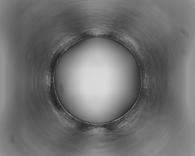 X0000112060210200908181205