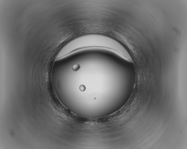 X0000112060211200908181205