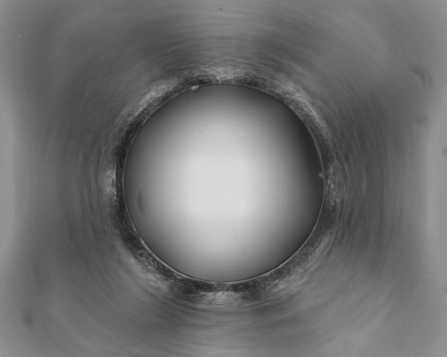 X0000112060212200908181205