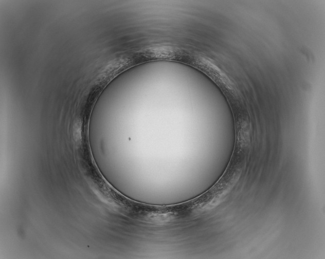 X0000112060213200908181205