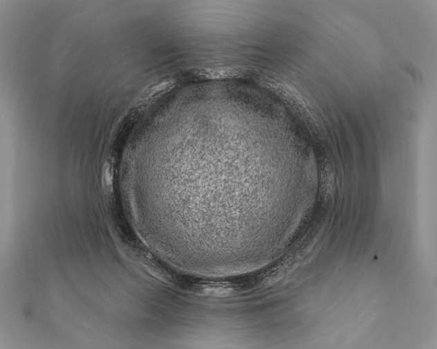 X0000112060214200908181205