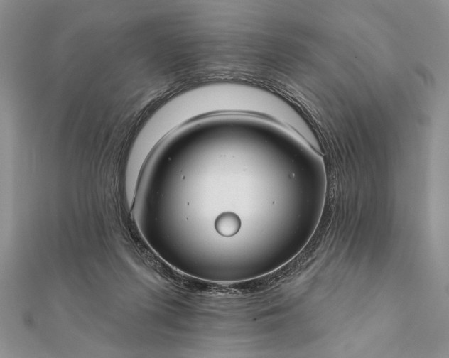 X0000112060215200908181205