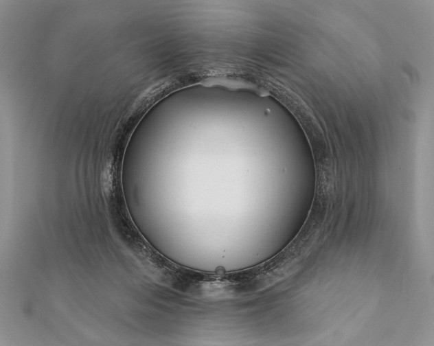 X0000112060216200908181205