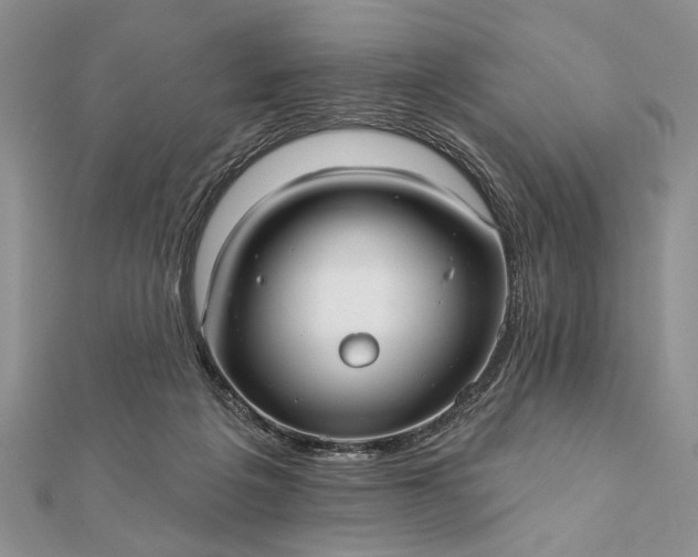 X0000112060217200908181205