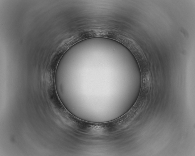 X0000112060218200908181205