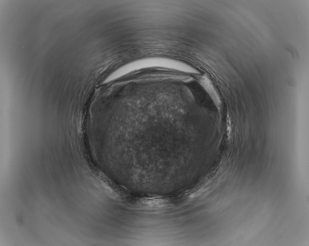 X0000112060219200908181205