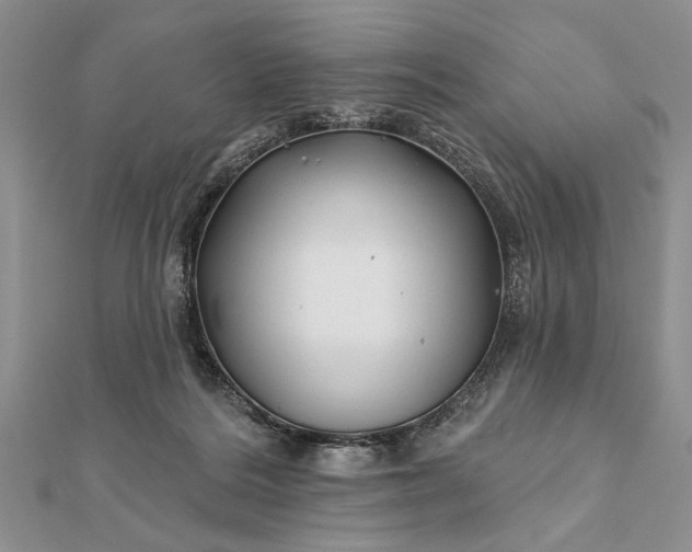 X0000112060220200908181205