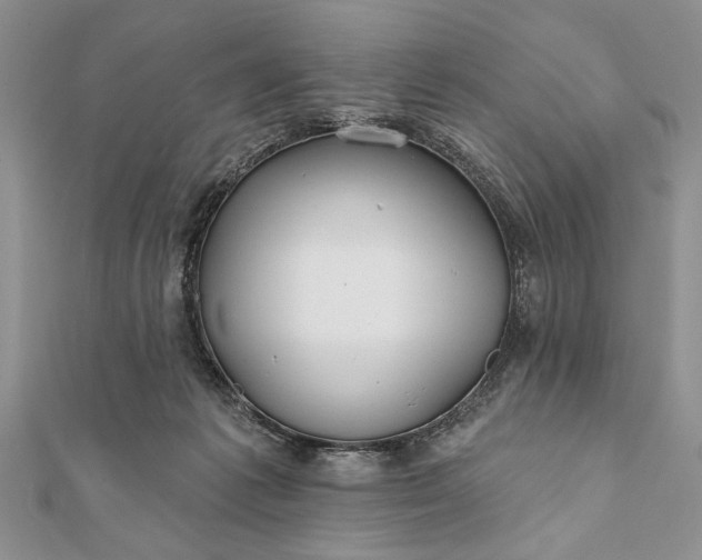 X0000112060221200908181205