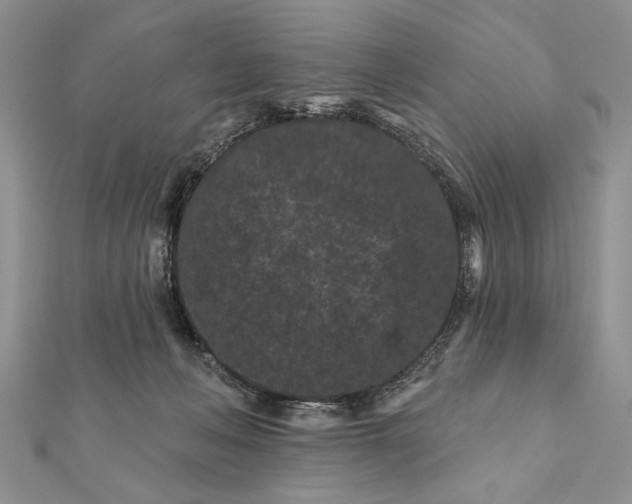 X0000112060222200908181205