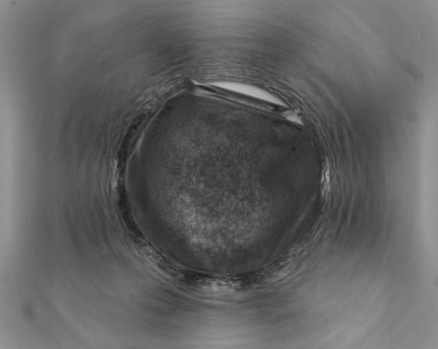 X0000112060223200908181205