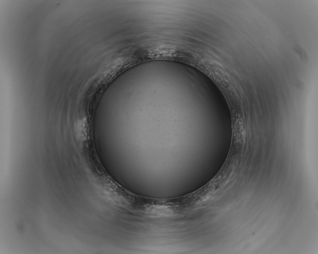 X0000112060224200908181205