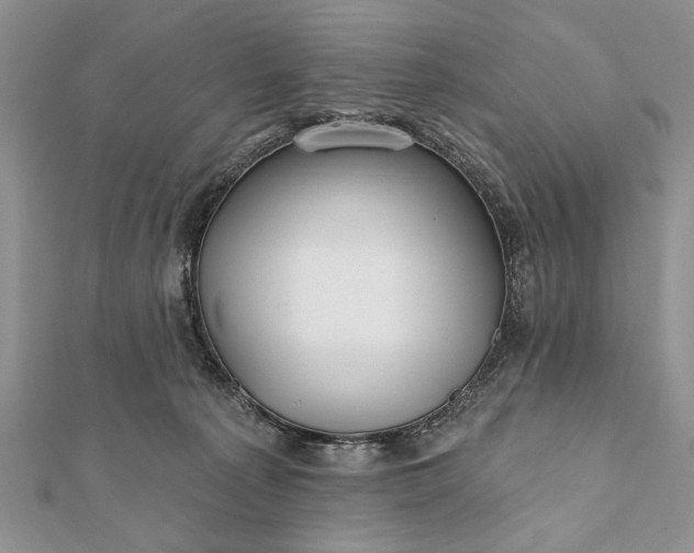 X0000112060225200908181205