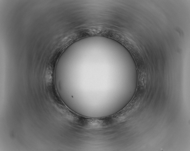 X0000112060226200908181205