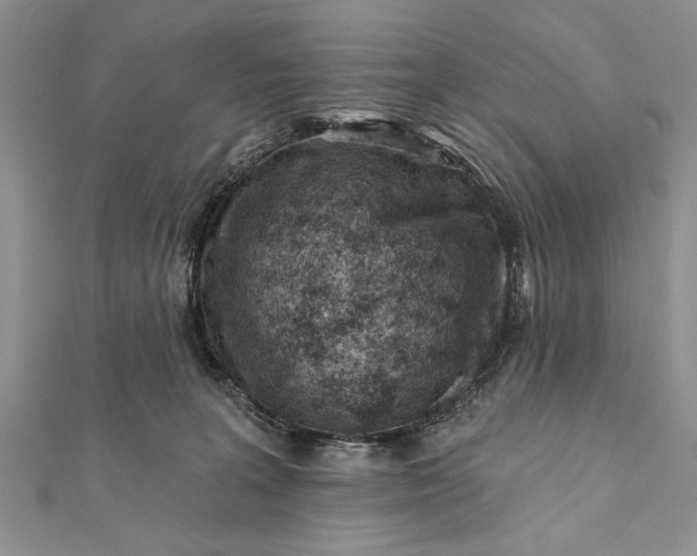 X0000112060227200908181205