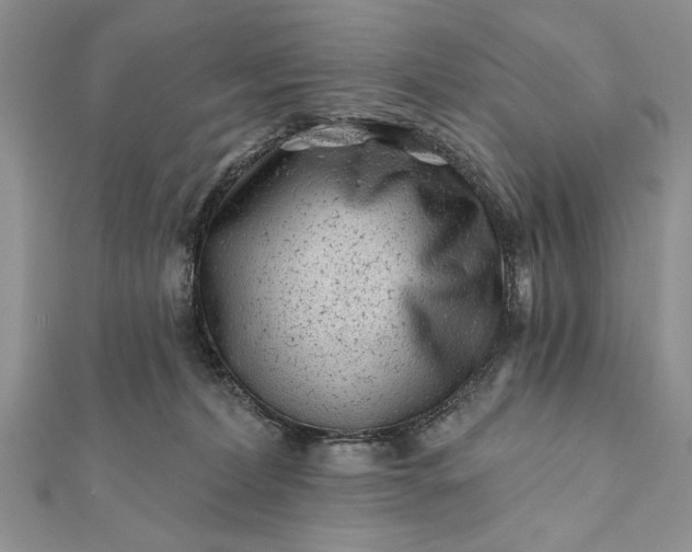 X0000112060228200908181205