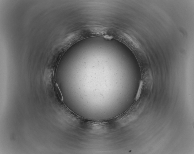 X0000112060229200908181205