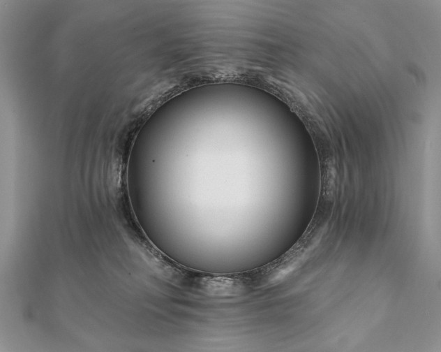 X0000112060230200908181205