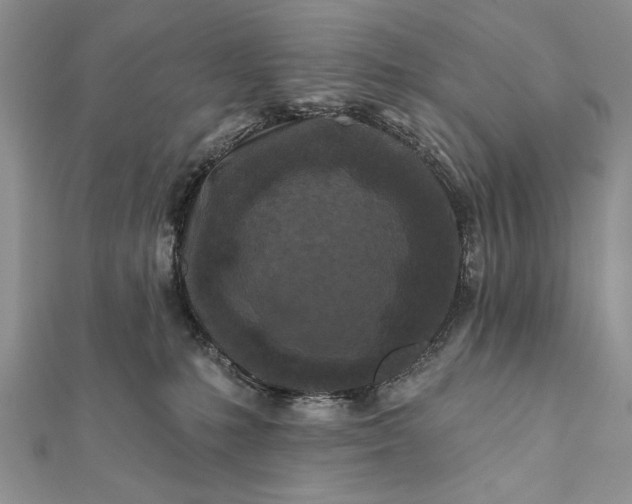 X0000112060231200908181205