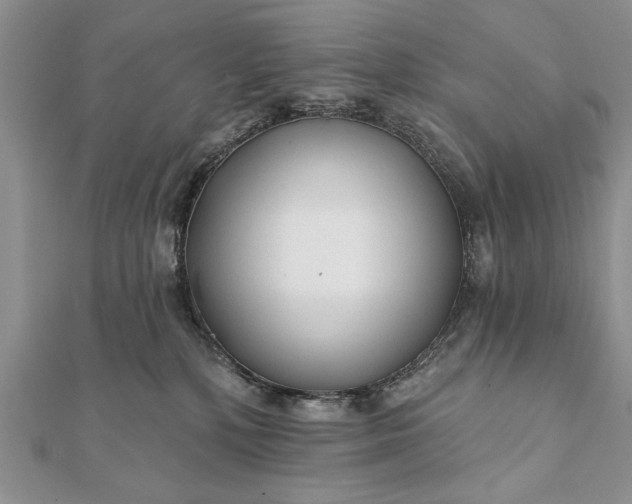 X0000112060232200908181205