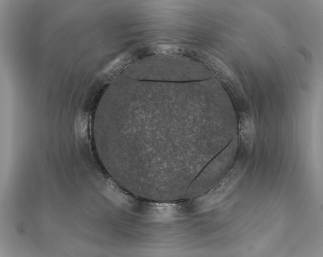 X0000112060233200908181205