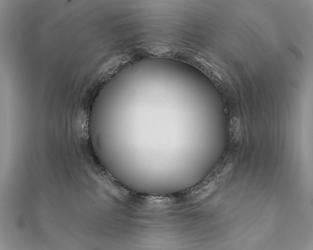 X0000112060234200908181205