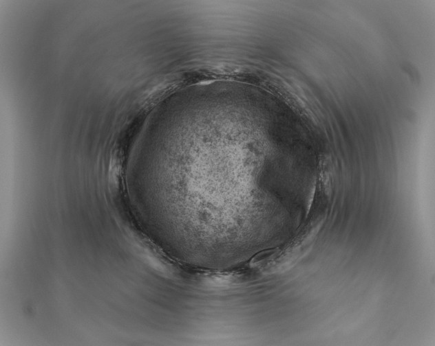 X0000112060235200908181205