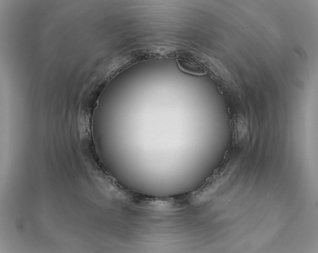 X0000112060236200908181205