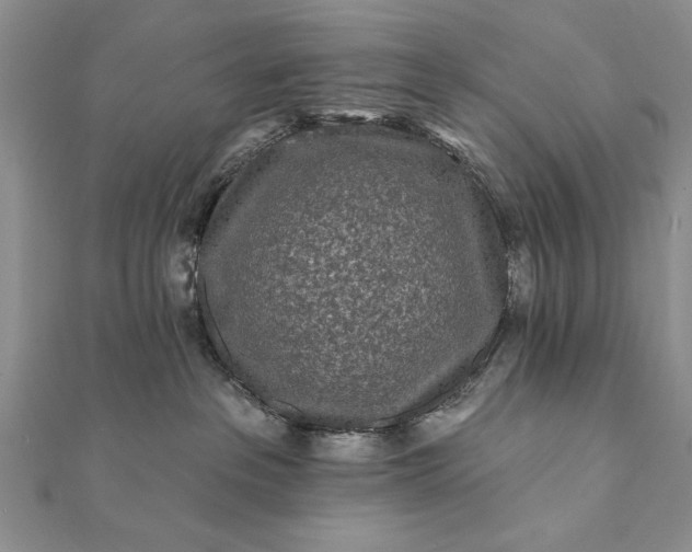 X0000112060237200908181205