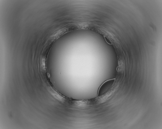 X0000112060238200908181205