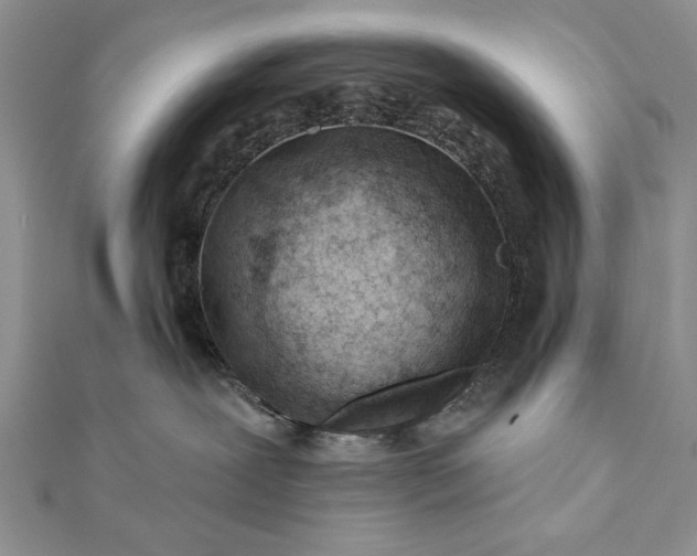 X0000112060239200908181205