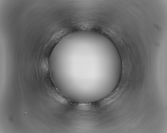 X0000112060240200908181205