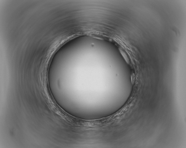 X0000112060241200908181204