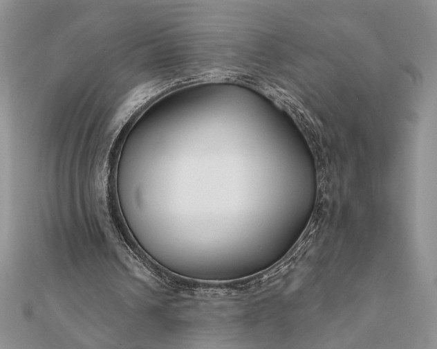 X0000112060242200908181204