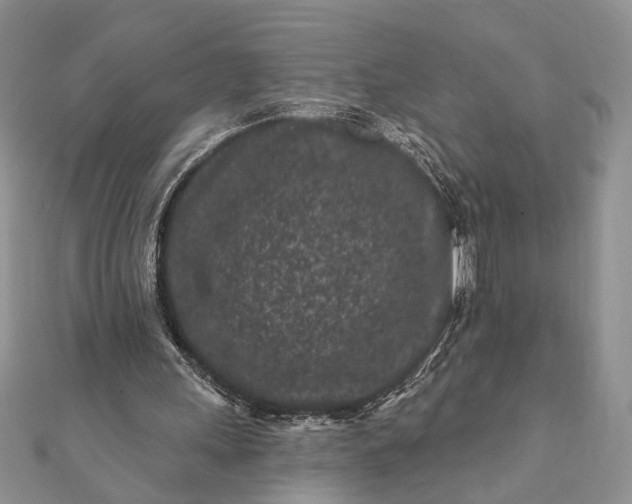 X0000112060243200908181204