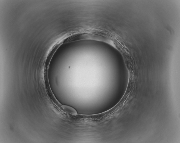 X0000112060244200908181204