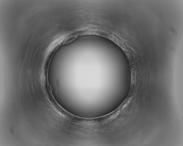 X0000112060245200908181204