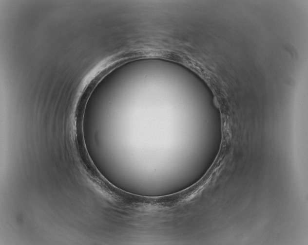 X0000112060246200908181204